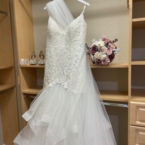 Wedding Dress & Veil